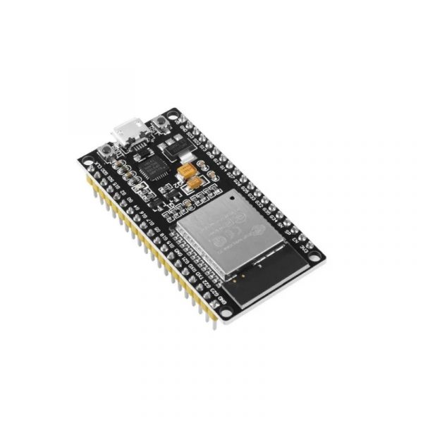 ESP 32